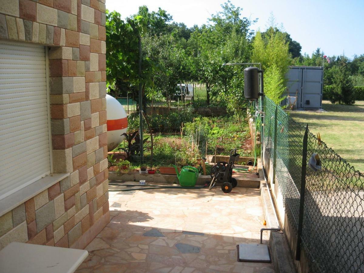 Apartments Sandra Novigrad  Exterior photo