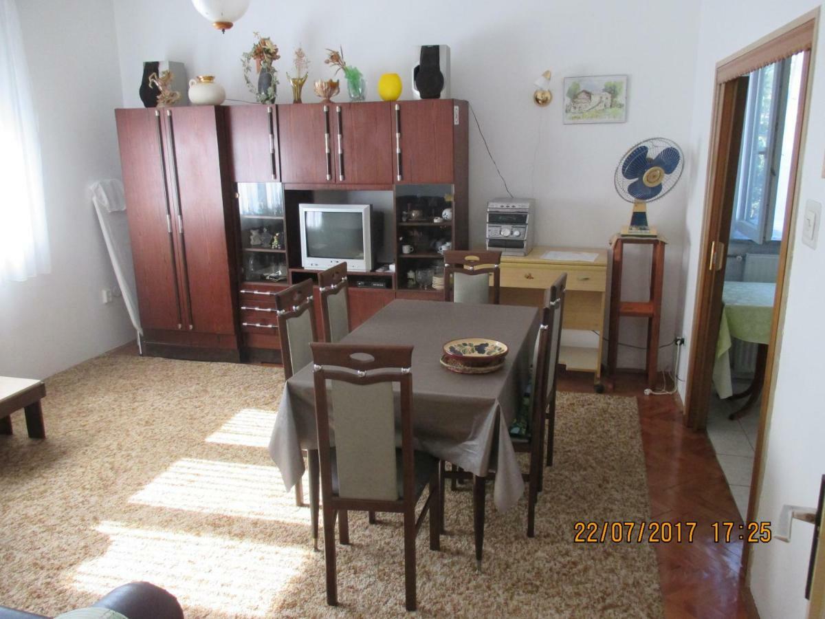 Apartments Sandra Novigrad  Exterior photo
